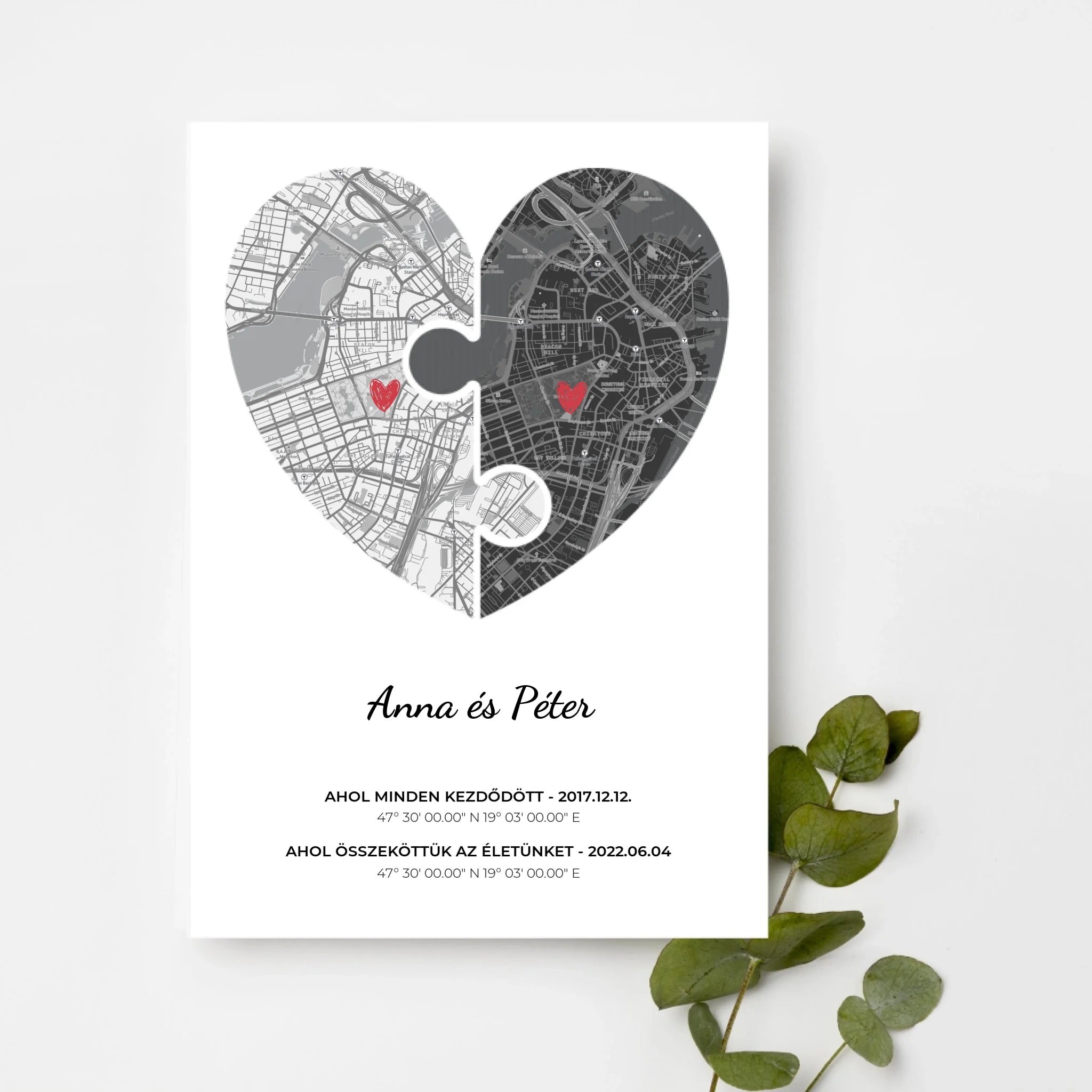 top-view-white-frame-with-green-leaves