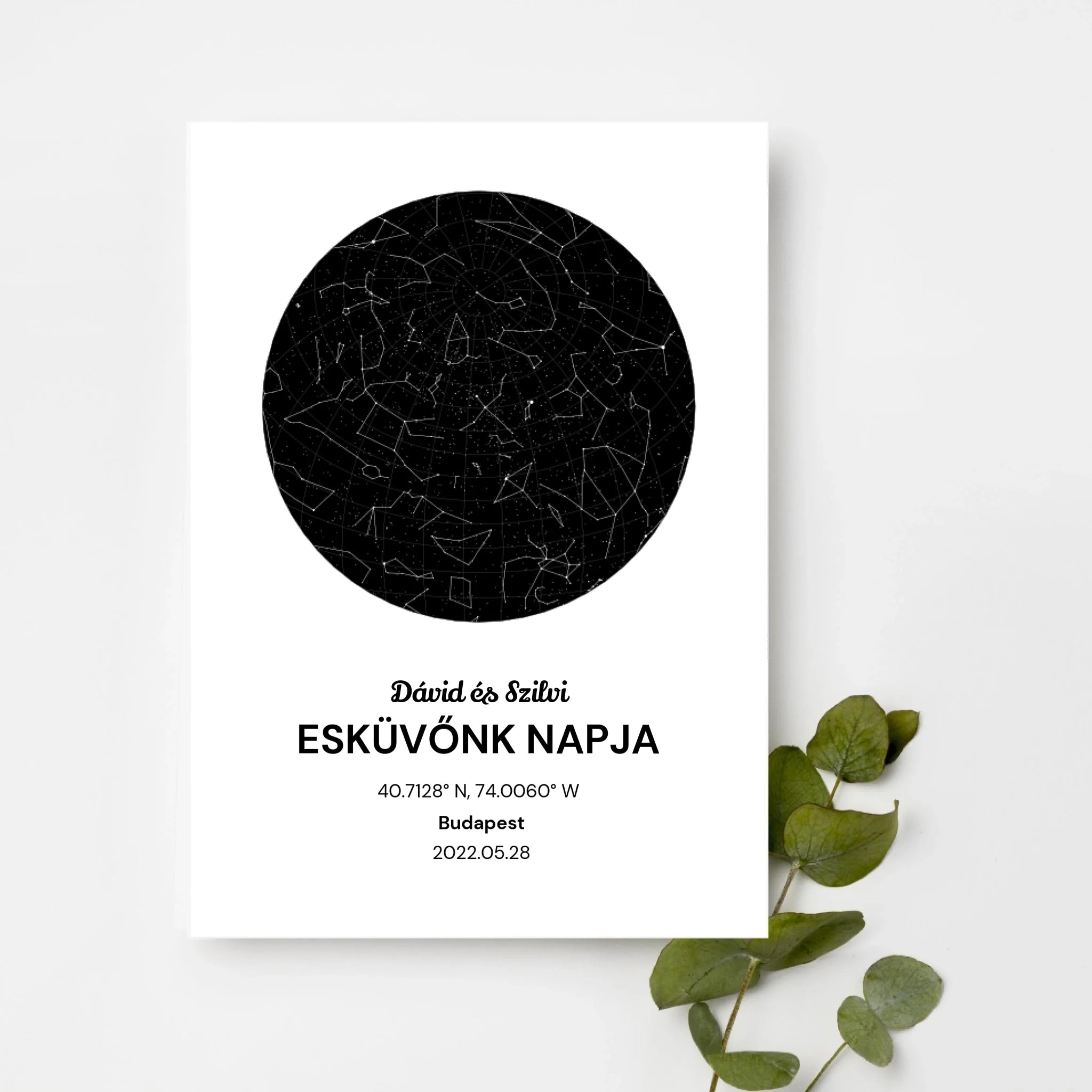 top-view-white-frame-with-green-leaves