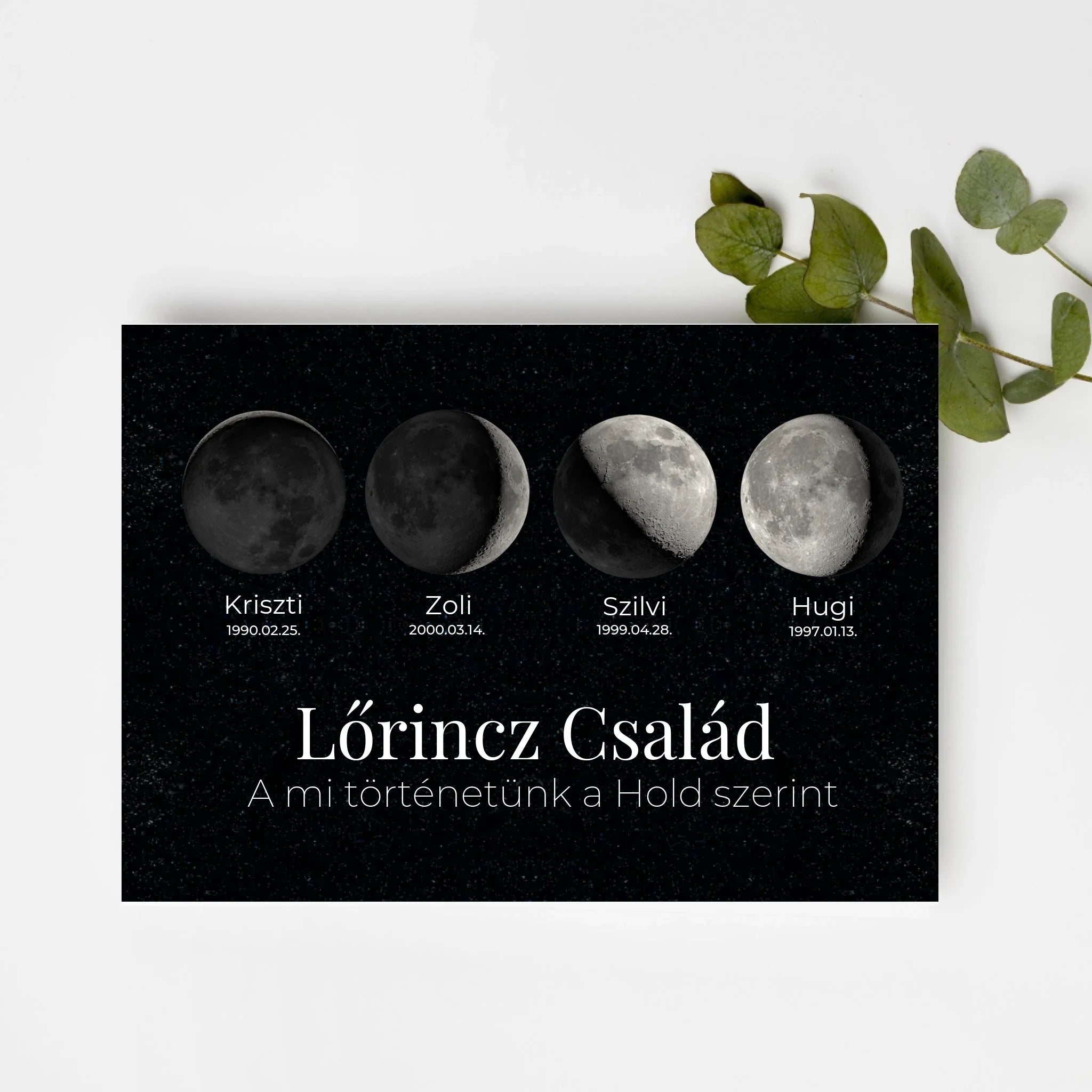 top-view-white-frame-with-green-leaves copy