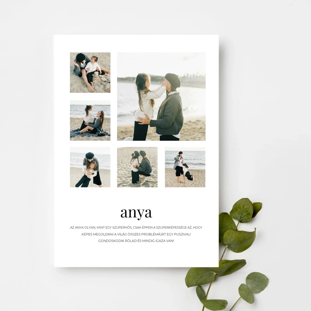 top-view-white-frame-with-green-leaves