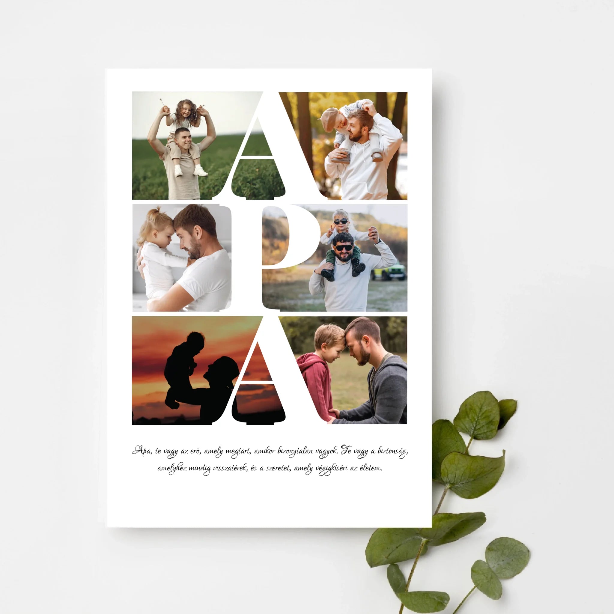 top-view-white-frame-with-green-leaves