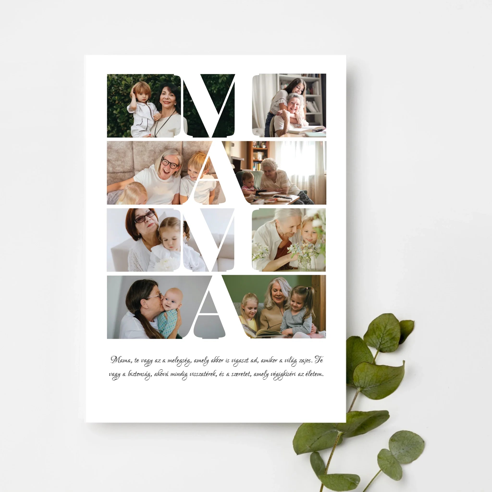 top-view-white-frame-with-green-leaves