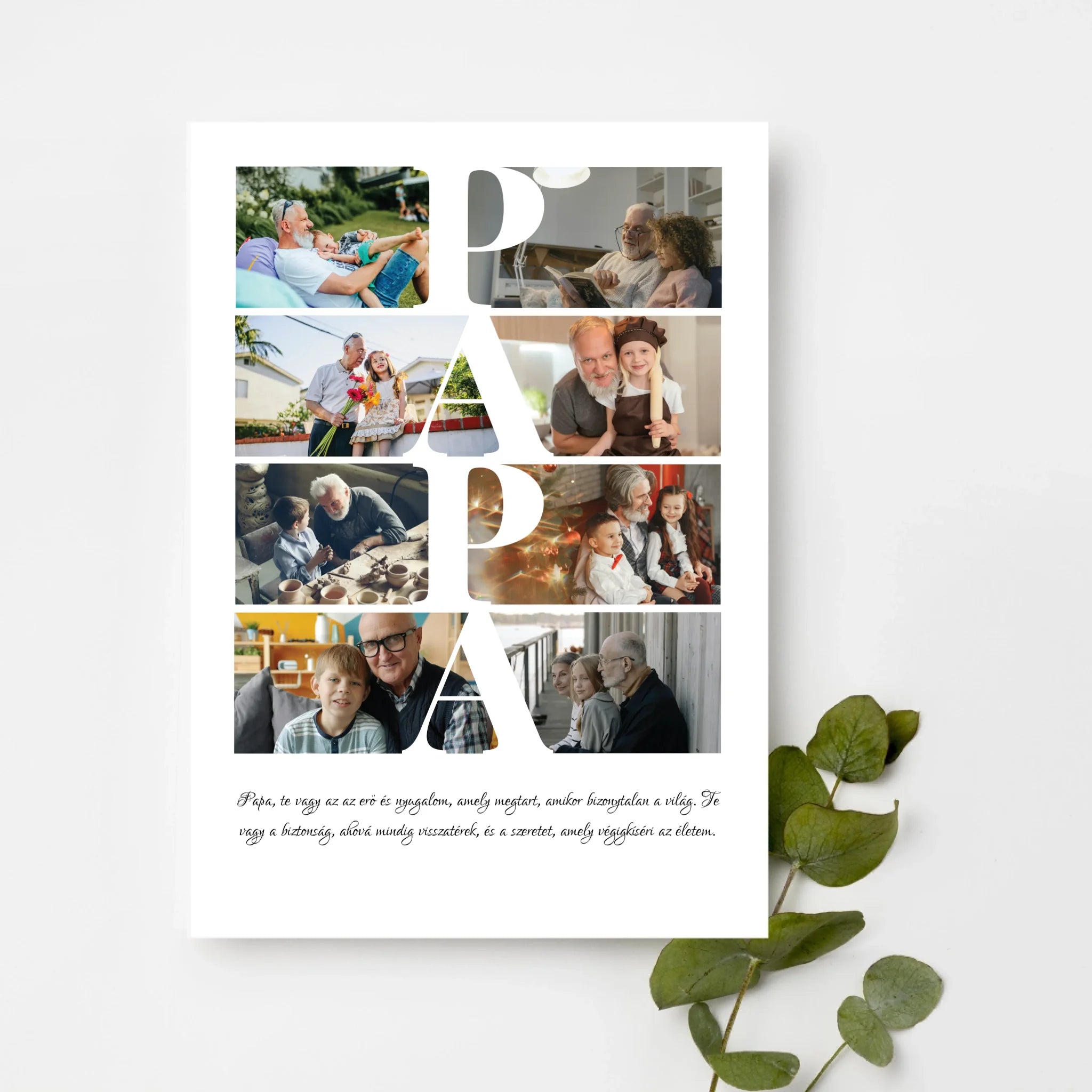 top-view-white-frame-with-green-leaves