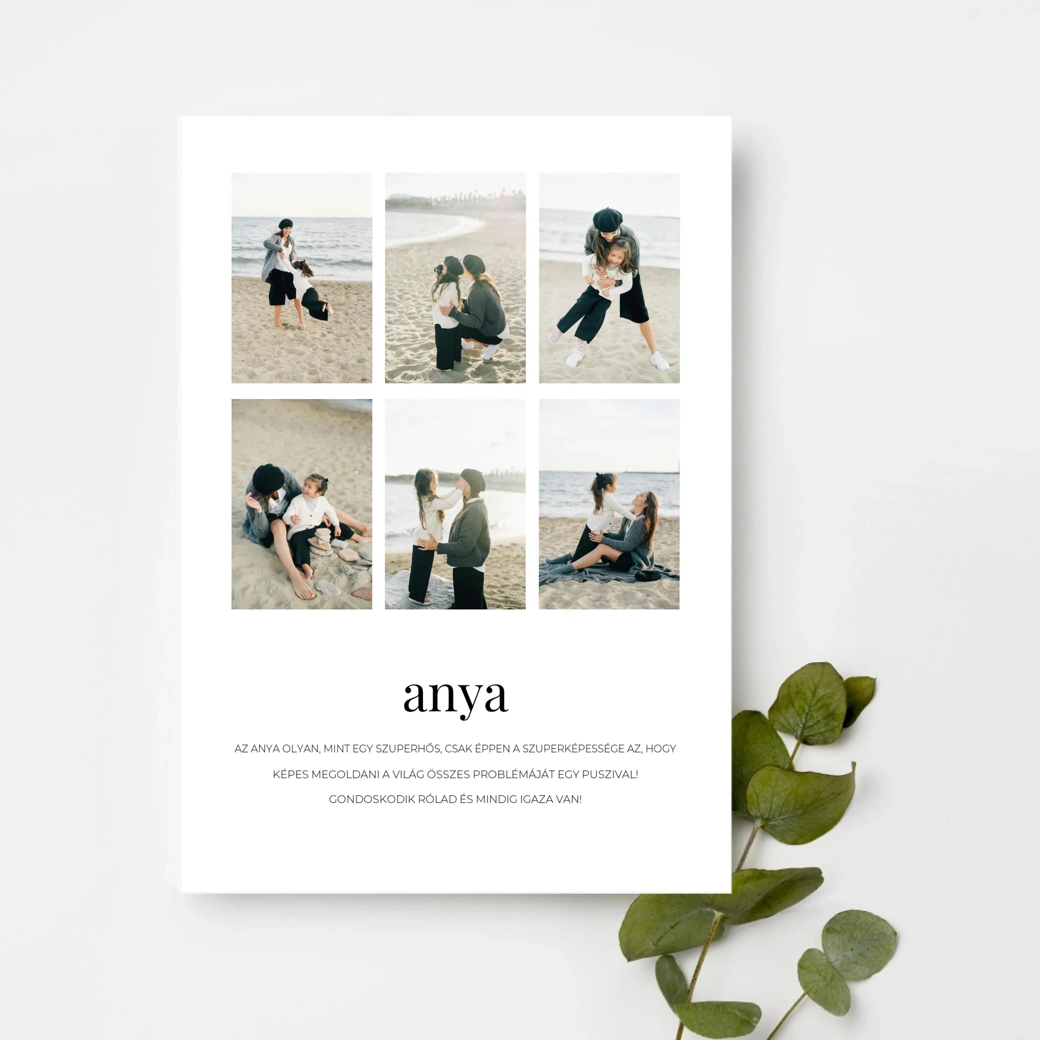 top-view-white-frame-with-green-leaves