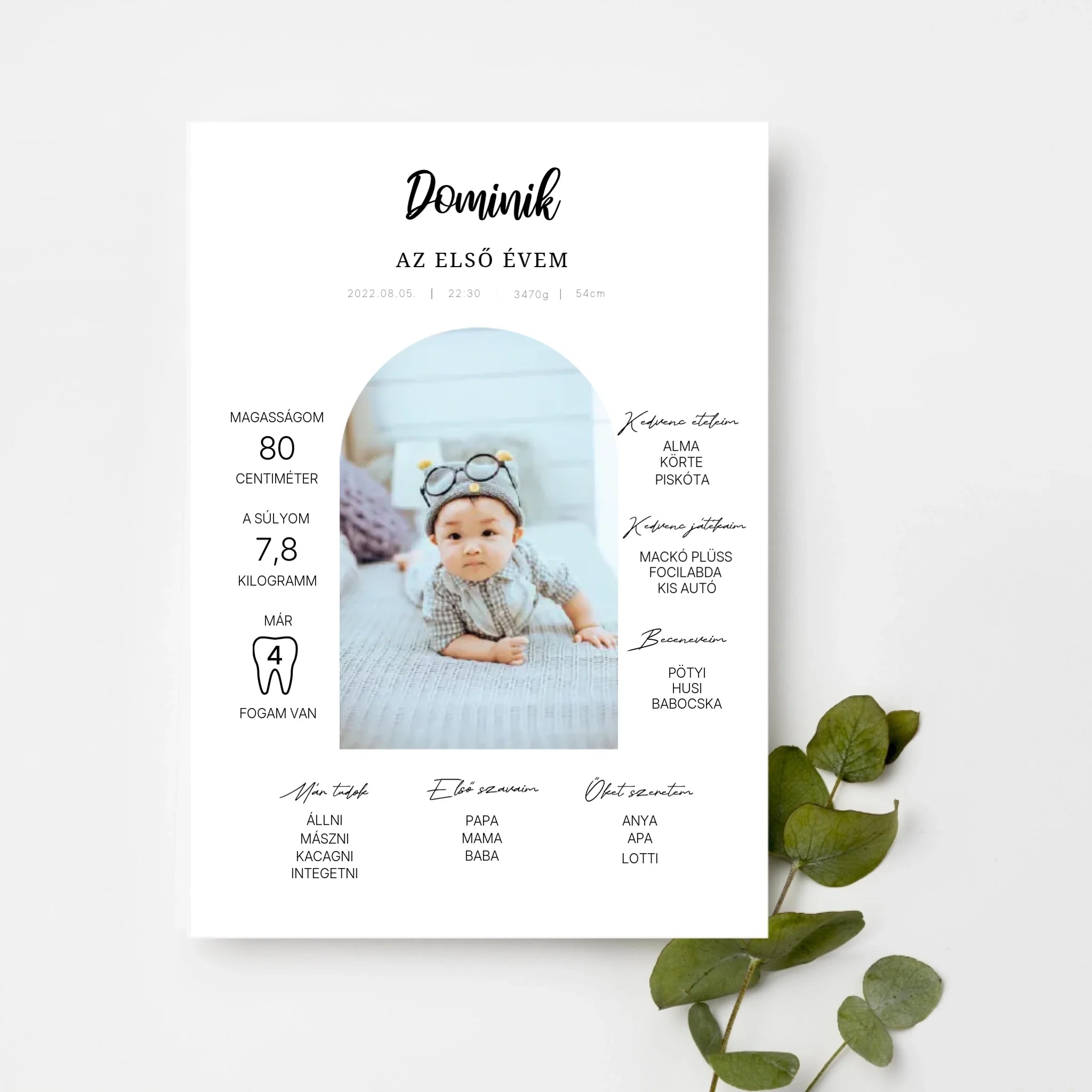 top-view-white-frame-with-green-leaves