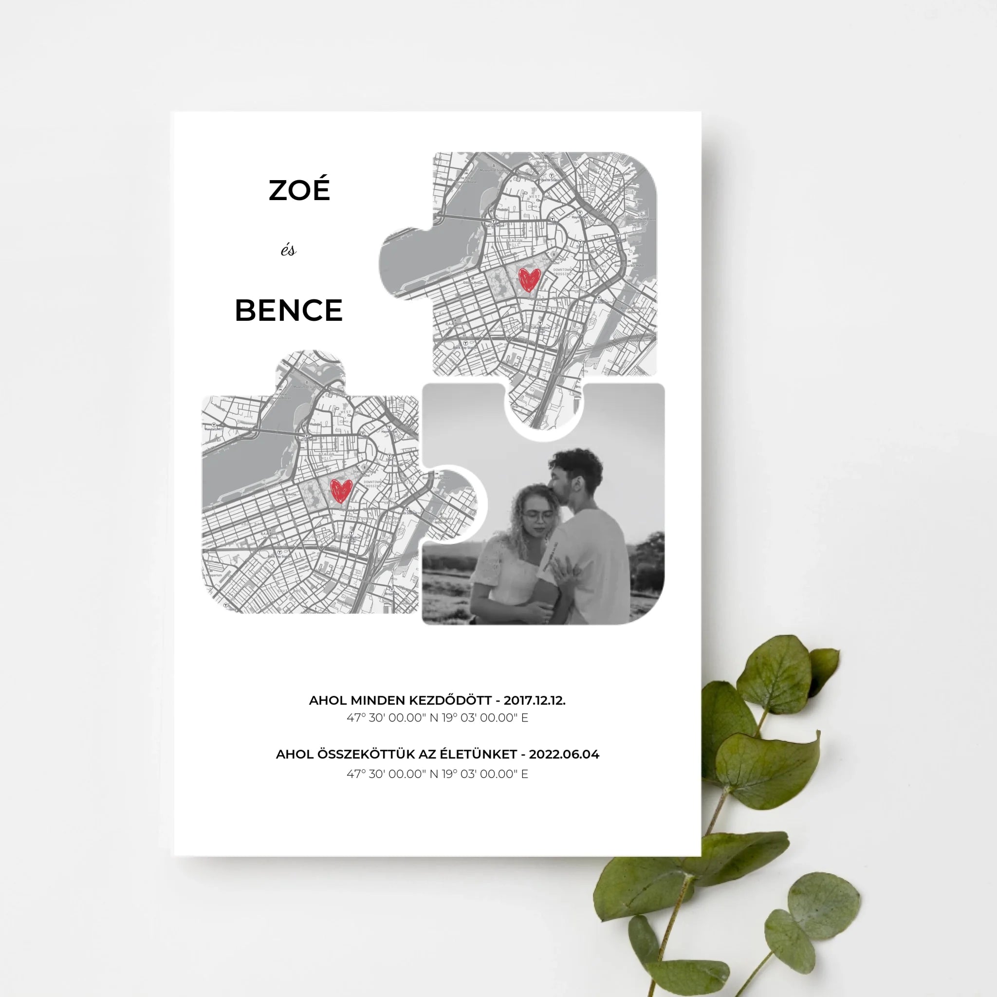 top-view-white-frame-with-green-leaves