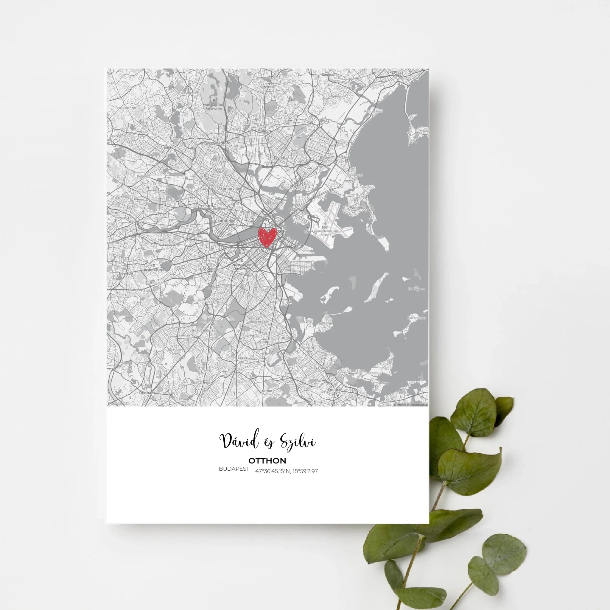 top-view-white-frame-with-green-leaves