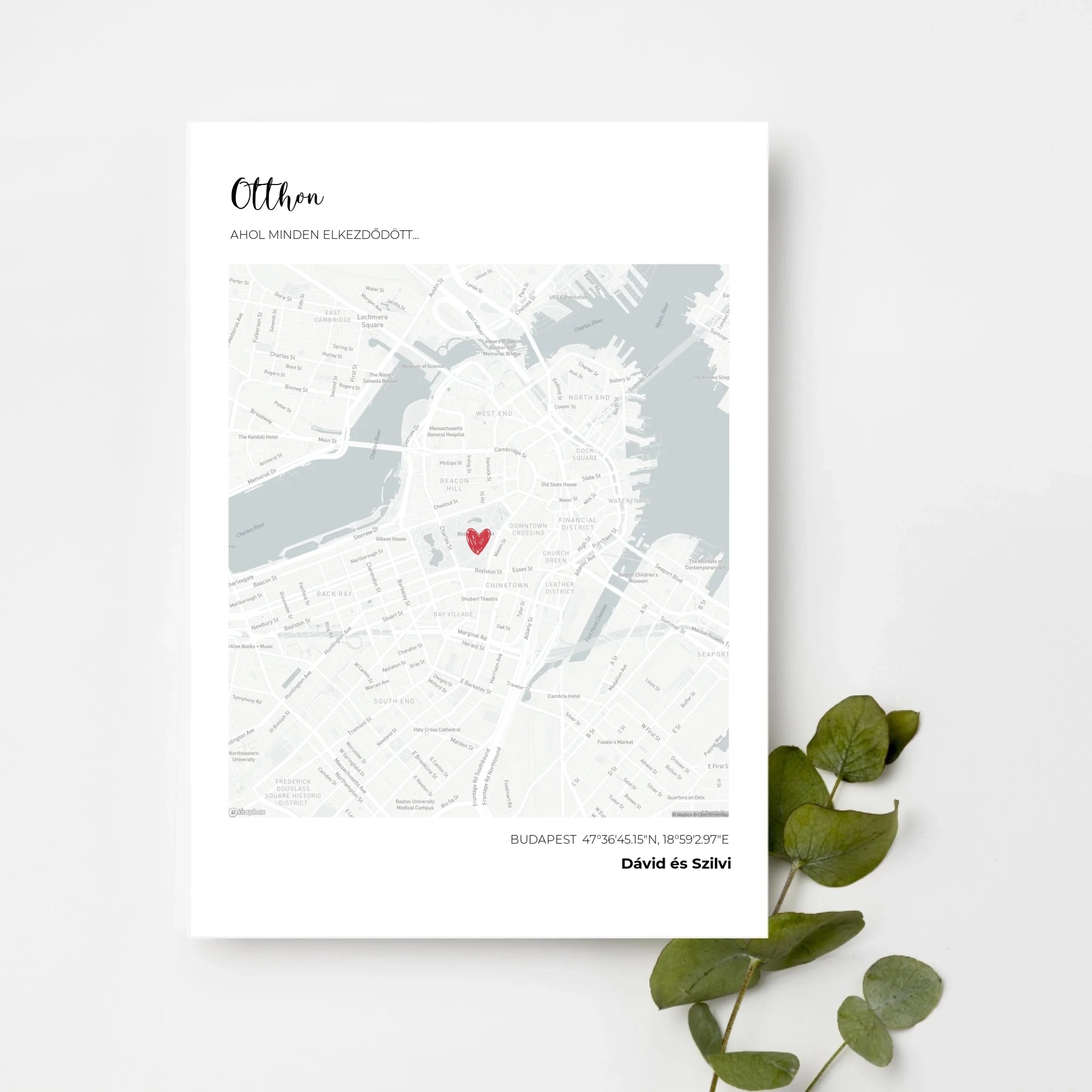 top-view-white-frame-with-green-leaves